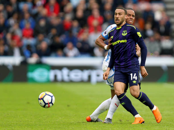 萌芽阶段 萌芽阶段