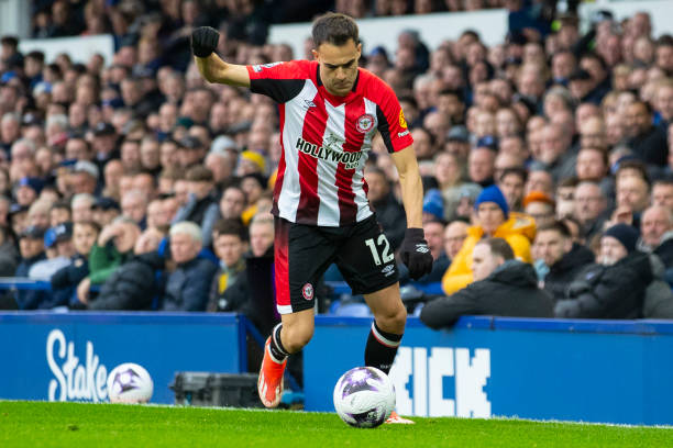 布朗尼的进 布朗尼的进