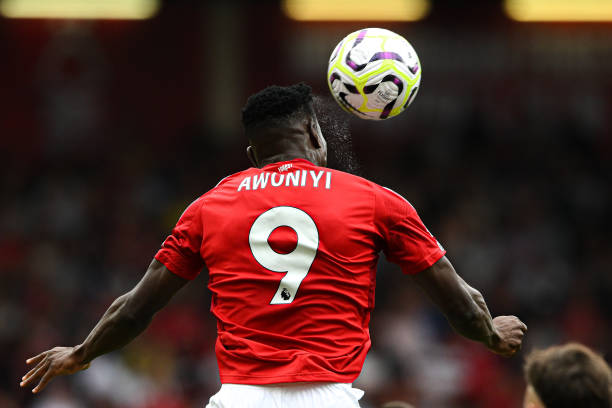 张子宇小组 张子宇小组