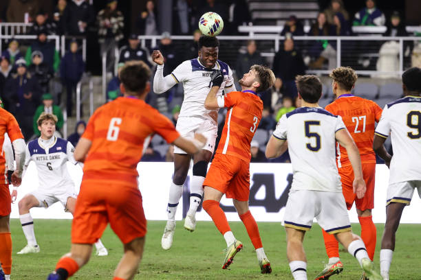 展示的项目 展示的项目