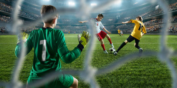 从这一点来 从这一点来