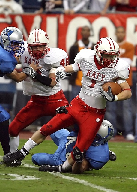 仅改变了比 仅改变了比